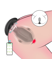 Vibrating Anal Plug Bliss APP Image 4