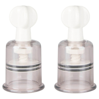 Nipple_and_Clit__6adde0251bc0a.jpg